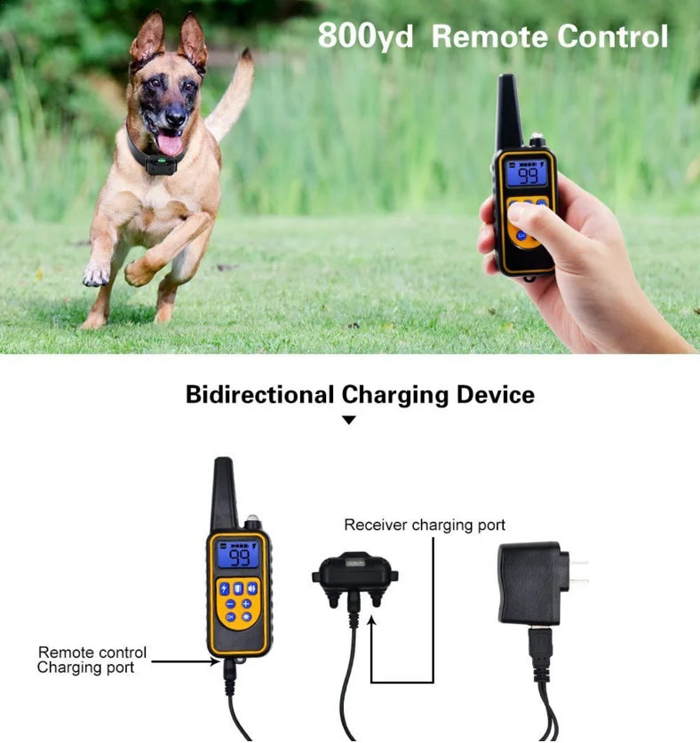 Waterproof Dog Training Collar with Remote and 800m Range