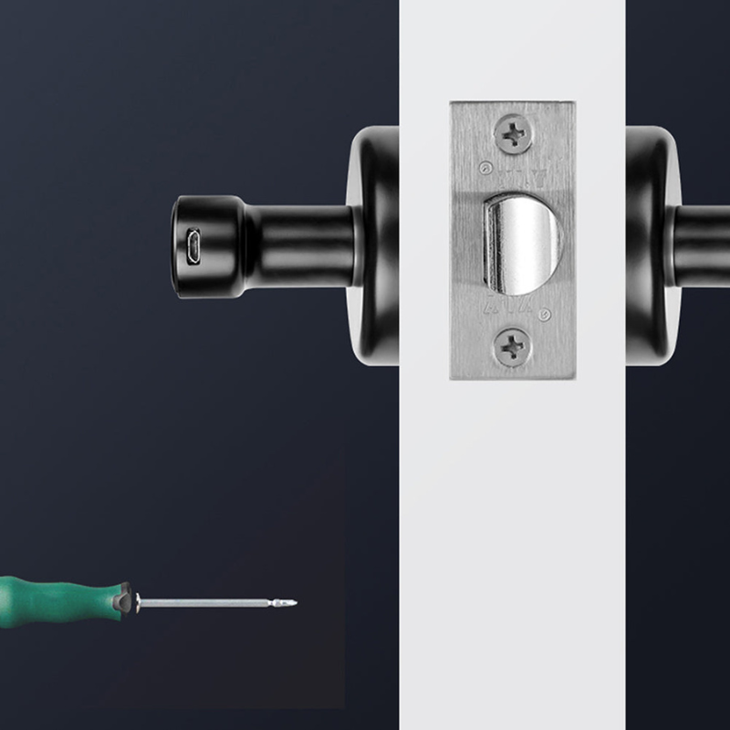 Fingerprint Door Lock with App Control and Zinc Alloy Body
