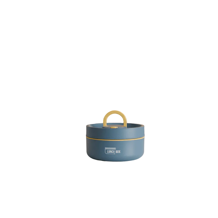 Insulated Stainless Steel Lunch Box with Carry Bag for Hot Meals