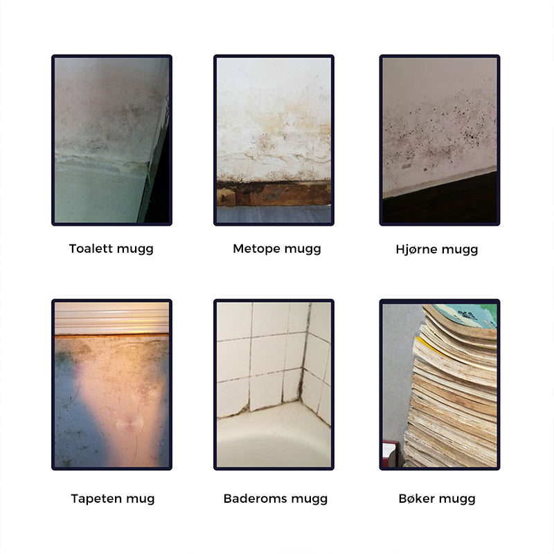 Mould Remover Spray with Active Chlorine for Bathroom and Kitchen